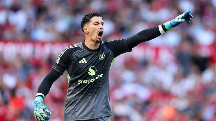 Amorim Bela Bayindir